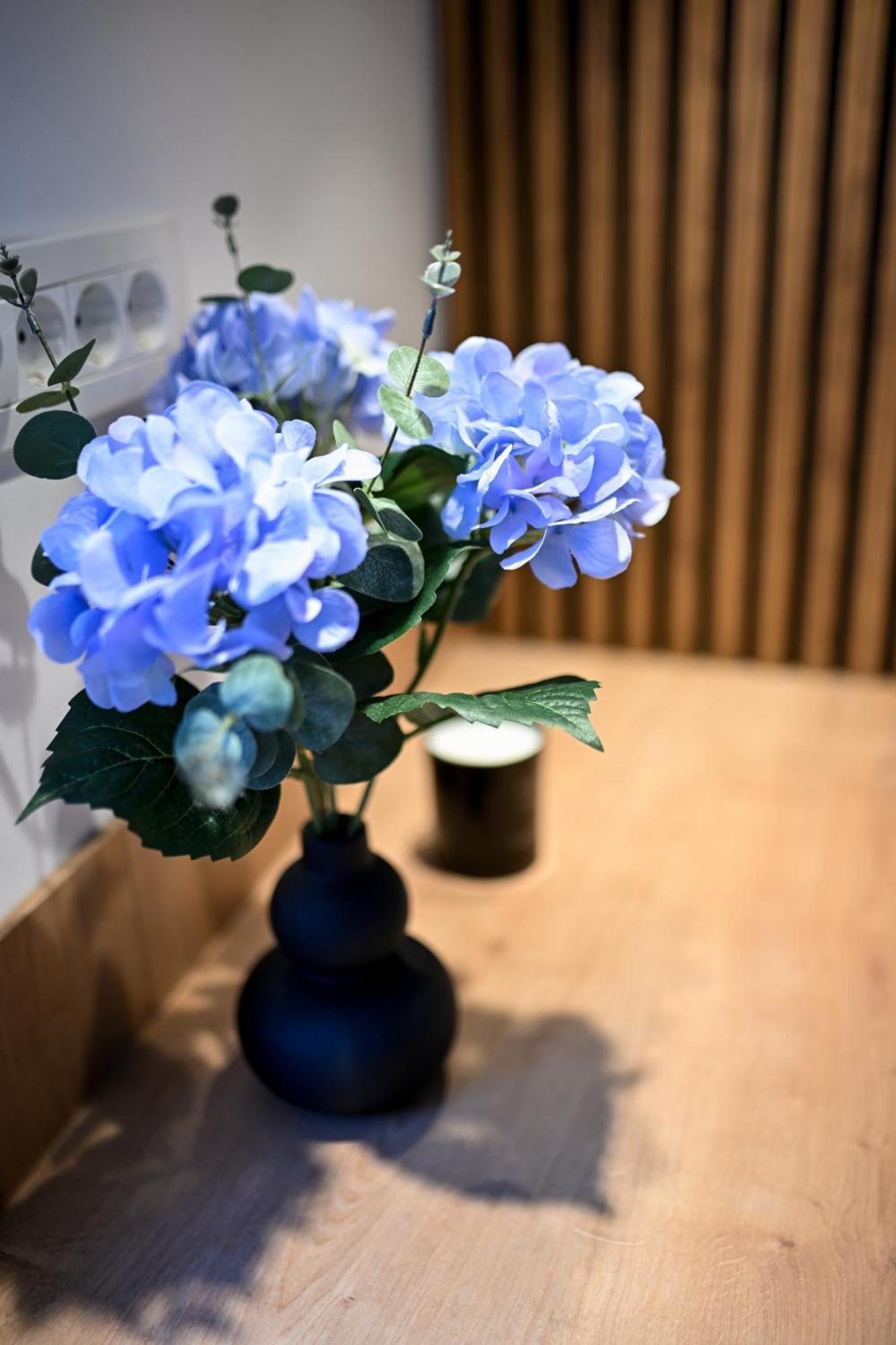 Rooms Nekic Zadar Zewnętrze zdjęcie